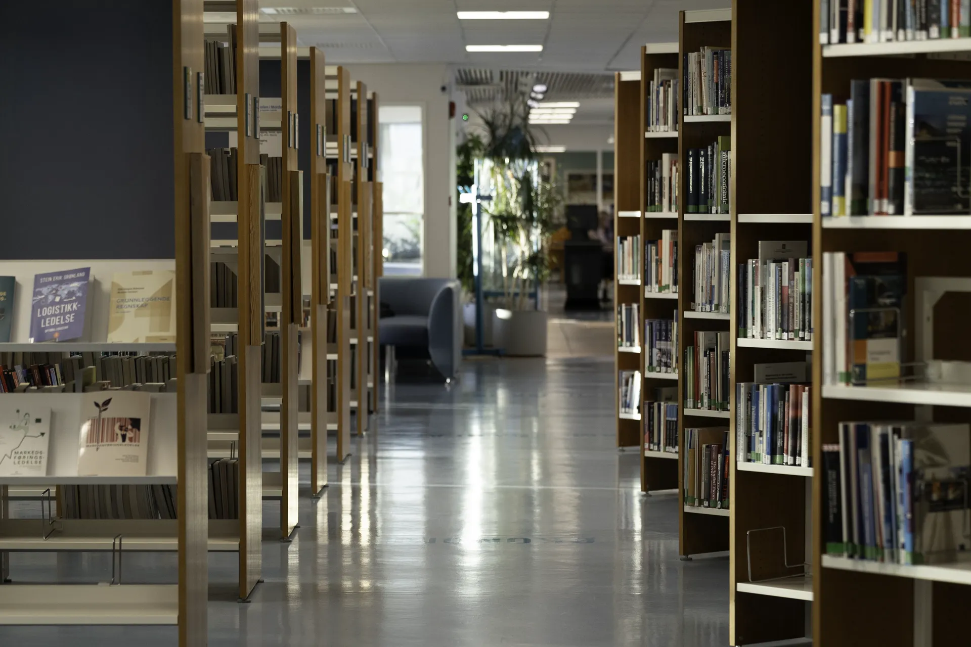 Bokreoler i biblioteket