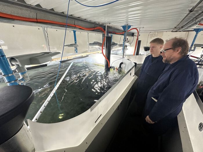 Tobias Backström (til høyre) ved Høgskolen i Molde og Vegard Langvatn ved Salmon Evolution kikker på et oppdrettskar med UVB-belysning over seg. (Foto: Øystein Klakegg, Høgskolen i Molde)