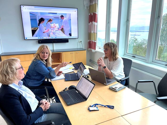 Forskningsgruppeleder Hege Hol sammen med Anita Nilsen og Signe Gunn Julnes i faglig diskusjon. 