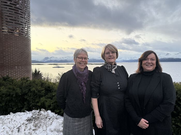F.v. Førsteamanuensis Kjellaug Klock Myklebust, dekan Liv Bachmann og høgskolelektor Ragnhild Sættem, som alle har vore involvert i søknadsarbeidet med å få masterprogrammet til Høgskolen i Molde. 