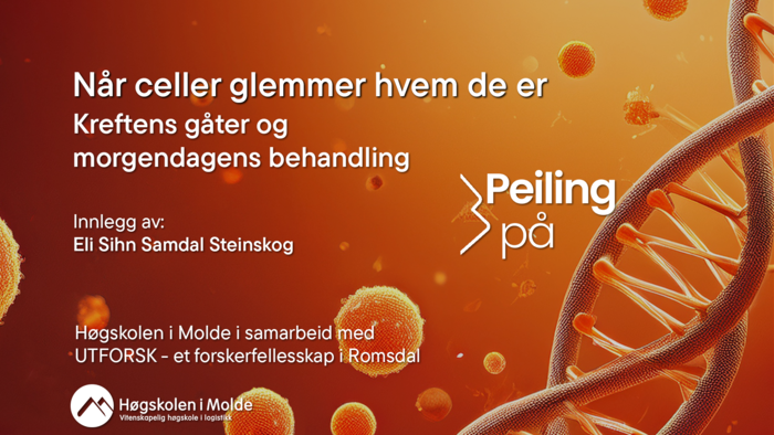 Arrangementsbilde av Peiling på