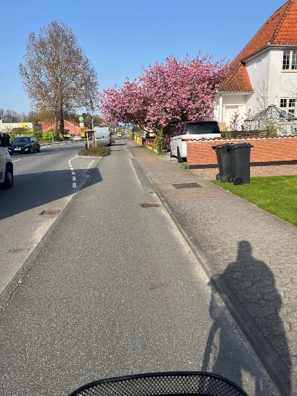 Gode sykkelveier. (Foto: June Fjellvik 2024).