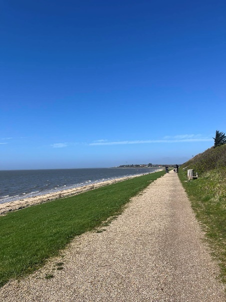 Mennesket ved havet.. (Foto: June Fjellvik 2024).