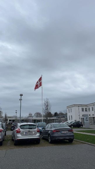 Flaggdag. (Foto: June Fjellvik 2024).