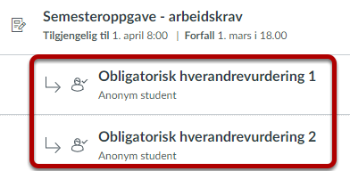 Tildelte hverandrevurderinger under en oppgave. Skjermbilde.