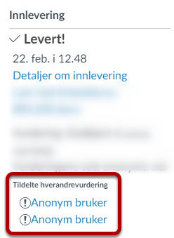 Høyrekolonne med tildelte hverandrevurderinger inne på en innlevering. Skjermbilde