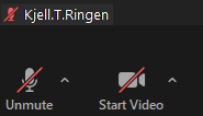 The picture shows disabled audio and video icons in Zoom